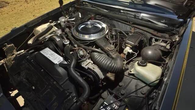 1987 Oldsmobile Cutlass Base 2dr Coupe - 22984928 - 27