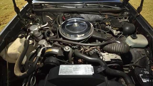 1987 Oldsmobile Cutlass Base 2dr Coupe - 22984928 - 28