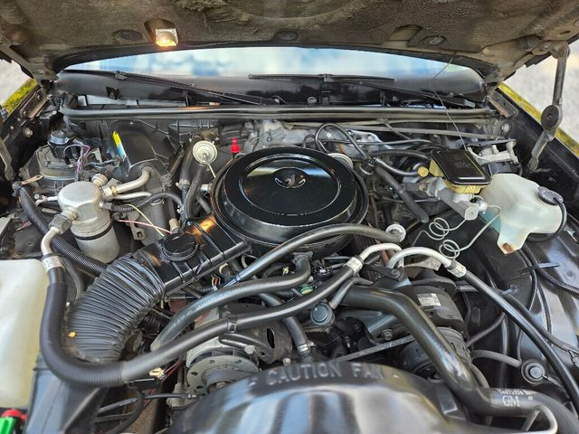 1988 Chevrolet Monte Carlo Base Trim - 22937463 - 20