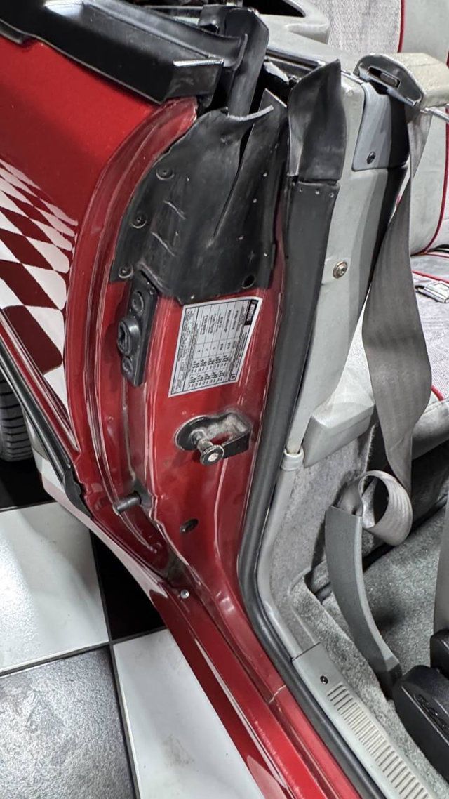 1988 Ford Mustang SALEEN #557 - 302 - 5 SPEED -SEE VIDEO - 22987377 - 50