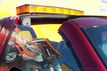 1988 GMC Sierra 1500 Base 2dr C1500 Standard Cab SB - 22898474 - 29