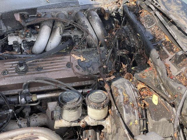 1989 Chevrolet Corvette 2dr Coupe Hatchback - 23006753 - 7