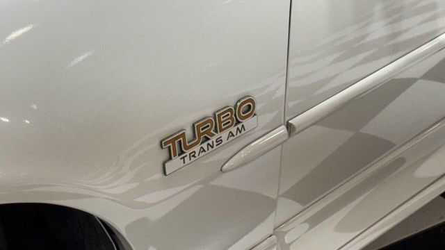 1989 Pontiac Firebird 2dr Coupe Firebird Hatchback - 22984924 - 13