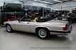 1991 Jaguar XJS XJS 12 Convertible - 22158347 - 6