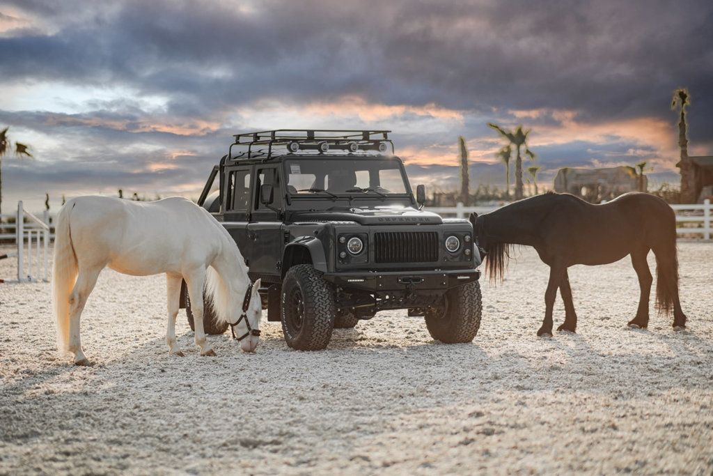 1991 Land Rover Defender 110 Pickup Monarch Nomad EV - 23039660 - 2