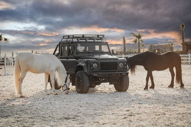 1991 Land Rover Defender 110 Pickup Monarch Nomad EV - 23039660 - 2