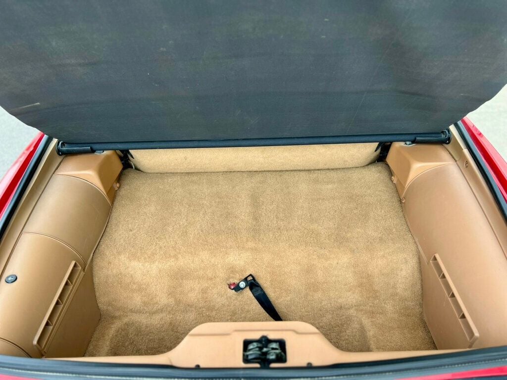 1991 Pontiac FIREBIRD TRANS AM - 22924952 - 9