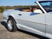 1991 Pontiac Trans Am For Sale - 20738493 - 16
