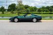 1993 Chevrolet Corvette 2dr Coupe Hatchback - 22593802 - 18