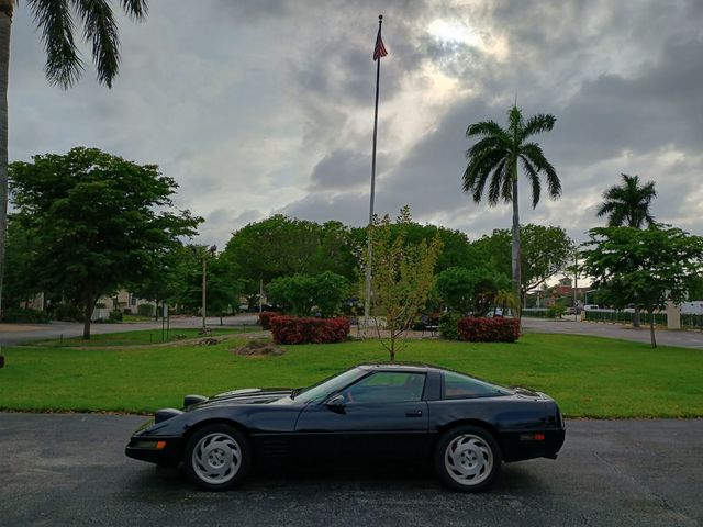 1993 Chevrolet Corvette 2dr Coupe Hatchback Clean Carfax Florida Car - 23015071 - 50