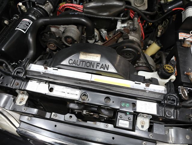 1993 Ford Mustang 3dr Cobra - 23008639 - 65