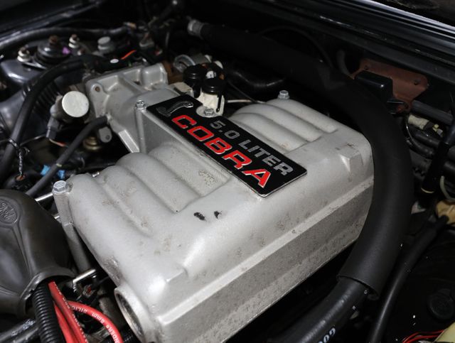 1993 Ford Mustang 3dr Cobra - 23008639 - 69