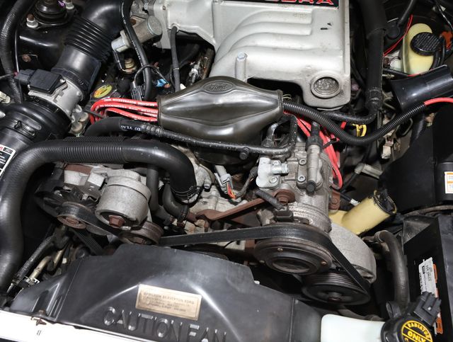 1993 Ford Mustang 3dr Cobra - 23008639 - 70