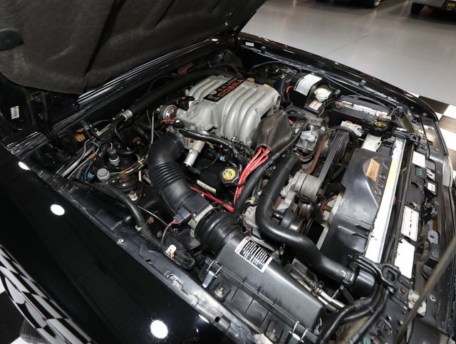 1993 Ford Mustang 3dr Cobra - 23008639 - 72