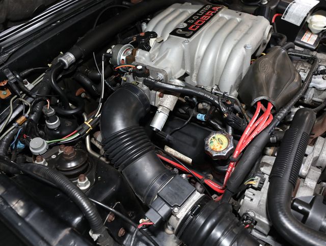1993 Ford Mustang 3dr Cobra - 23008639 - 73