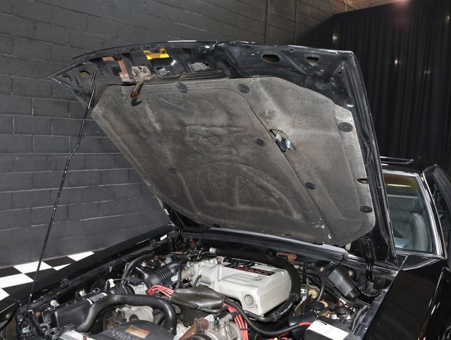 1993 Ford Mustang 3dr Cobra - 23008639 - 74