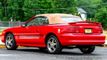 1994 Ford Mustang Cobra Indi Pace Car - 22569753 - 2