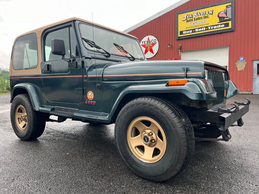 1994 Jeep Wrangler Sahara 4.0L Automatic Hardtop with A/C - 22834038 - 0