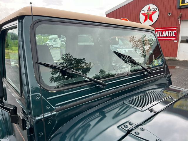 1994 Jeep Wrangler Sahara 4.0L Automatic Hardtop with A/C  - 22834038 - 10