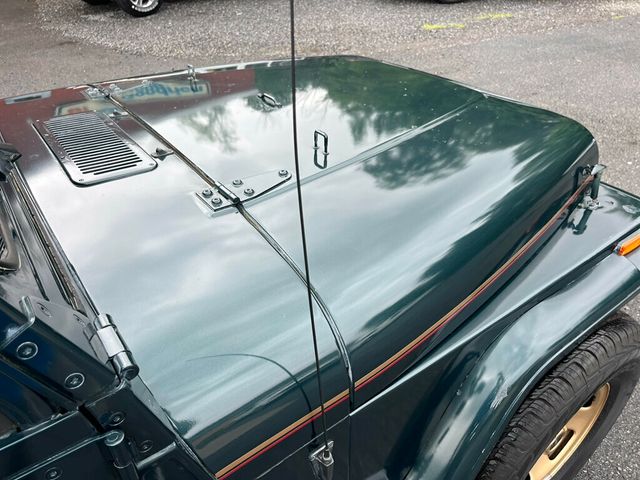 1994 Jeep Wrangler Sahara 4.0L Automatic Hardtop with A/C  - 22834038 - 11