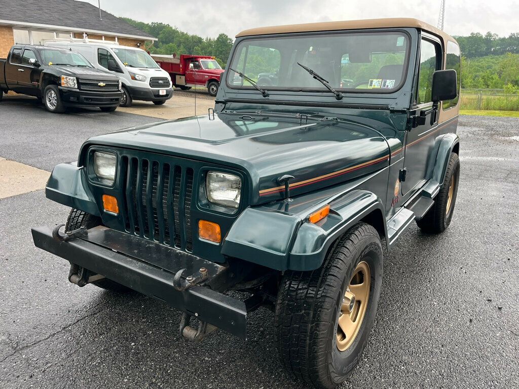 1994 Jeep Wrangler Sahara 4.0L Automatic Hardtop with A/C - 22834038 - 7
