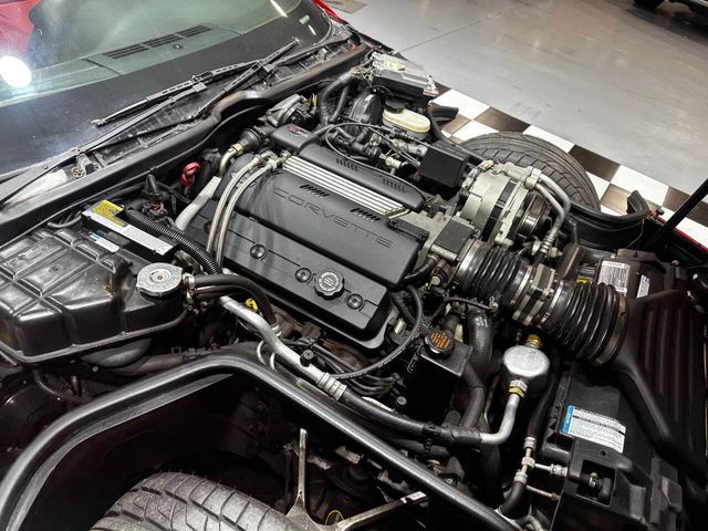 1995 Chevrolet Corvette Base 2dr Convertible - 22440388 - 45