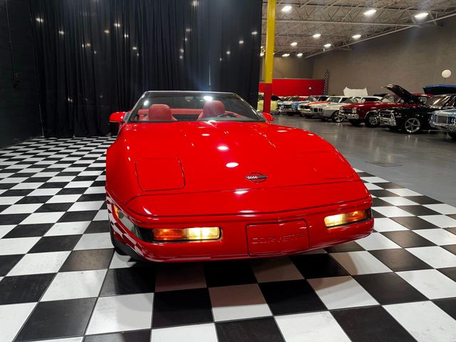 1995 Chevrolet Corvette Base 2dr Convertible - 22440388 - 7