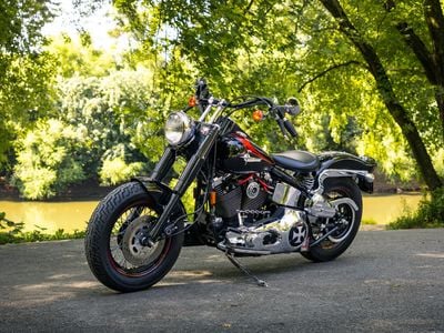 1995 Harley-Davidson FLSTC - 1HD1BJL46SY043585