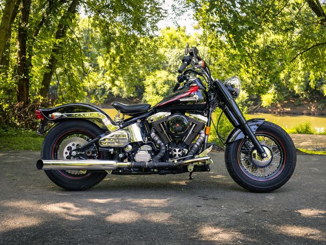 1995 Harley-Davidson FLSTC  Disabled One Owner Veteran  DRASTICALLY REDUCED - 22580992 - 11