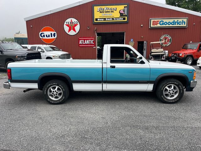 1996 Dodge Dakota Regular Cab 1 Family Owned, Garage Kept Rust Free 1st Gen Dakota - 23034204 - 1