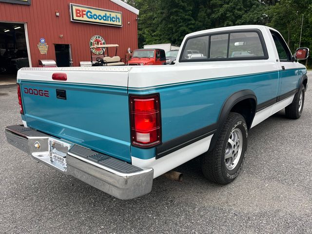 1996 Dodge Dakota Regular Cab 1 Family Owned, Garage Kept Rust Free 1st Gen Dakota - 23034204 - 2