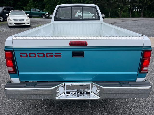 1996 Dodge Dakota Regular Cab 1 Family Owned, Garage Kept Rust Free 1st Gen Dakota - 23034204 - 3