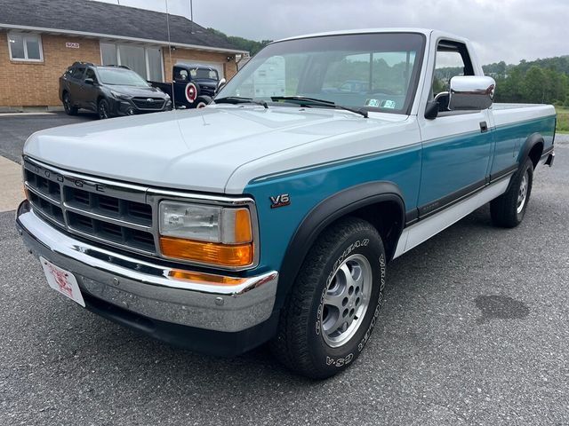 1996 Dodge Dakota Regular Cab 1 Family Owned, Garage Kept Rust Free 1st Gen Dakota - 23034204 - 6