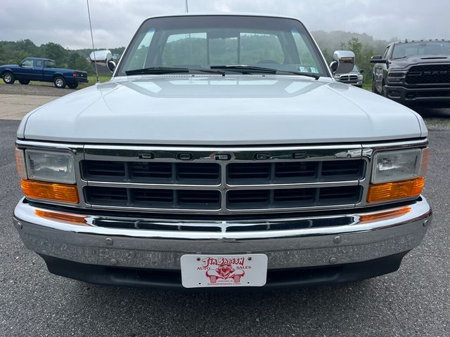 1996 Dodge Dakota Regular Cab 1 Family Owned, Garage Kept Rust Free 1st Gen Dakota - 23034204 - 7