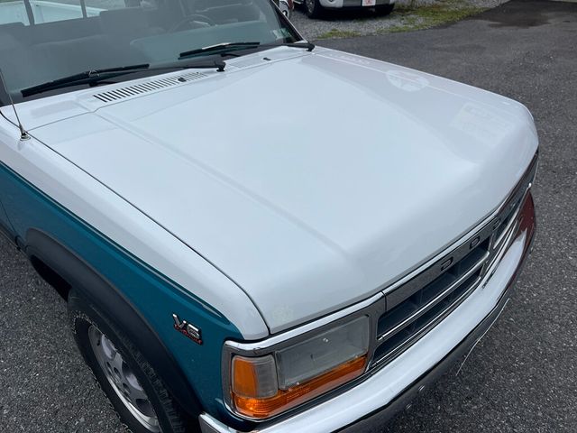 1996 Dodge Dakota Regular Cab 1 Family Owned, Garage Kept Rust Free 1st Gen Dakota - 23034204 - 8