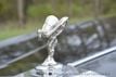 1996 Rolls-Royce Silver Spur Springfield edition  - 22998681 - 20