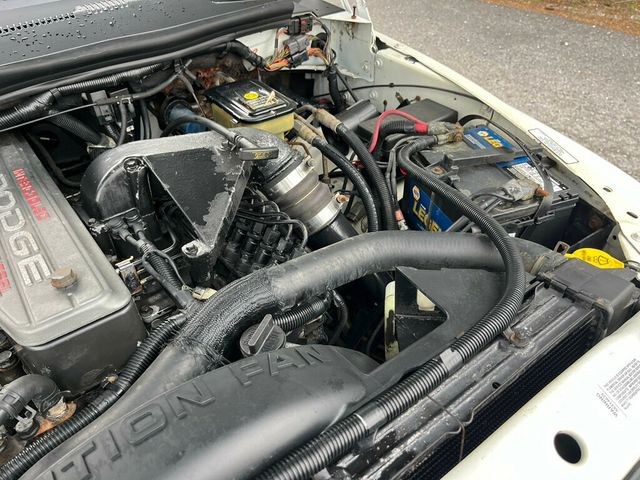 1997 Dodge Ram 2500 Legendary 12 Valve Cummins Turbo Diesel Regular Cab Long bed 4x4 - 23001274 - 56