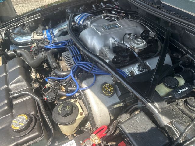1997 Ford Mustang 2dr Convertible Cobra - 23029647 - 17