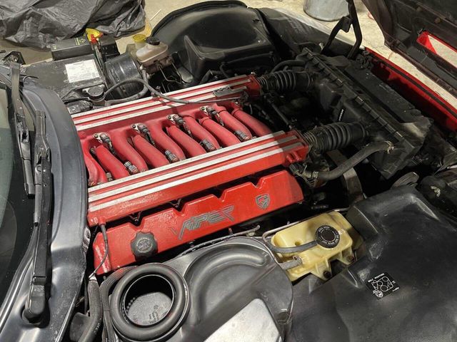 1998 Dodge Viper 2dr GTS Coupe - 22984919 - 5
