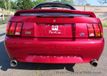 1999 Ford Mustang 2dr Convertible SVT Cobra - 22103043 - 12