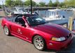 1999 Ford Mustang 2dr Convertible SVT Cobra - 22103043 - 15