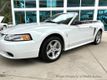 1999 Ford Mustang 2dr Convertible SVT Cobra - 23037398 - 11