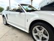 1999 Ford Mustang 2dr Convertible SVT Cobra - 23037398 - 17