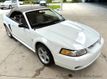 1999 Ford Mustang 2dr Convertible SVT Cobra - 23037398 - 20