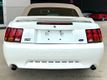 1999 Ford Mustang 2dr Convertible SVT Cobra - 23037398 - 22