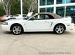 1999 Ford Mustang 2dr Convertible SVT Cobra - 23037398 - 23