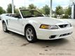 1999 Ford Mustang 2dr Convertible SVT Cobra - 23037398 - 3