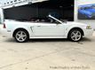 1999 Ford Mustang 2dr Convertible SVT Cobra - 23037398 - 4