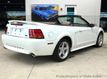 1999 Ford Mustang 2dr Convertible SVT Cobra - 23037398 - 5