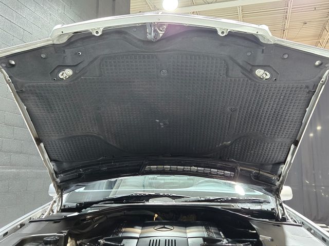 1999 Mercedes-Benz S-Class S500 4dr Sedan 5.0L - 23039360 - 55